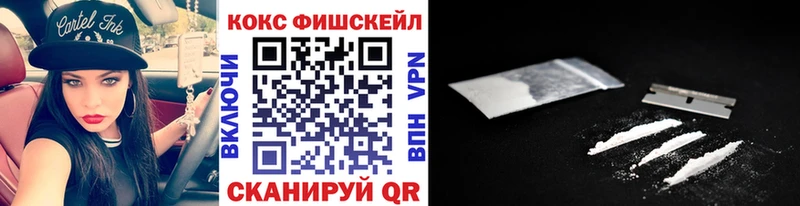 где купить наркоту  Ахтубинск  Cocaine Fish Scale 