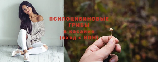 прущие крисы Армянск