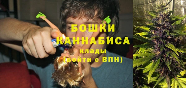 прущие крисы Армянск