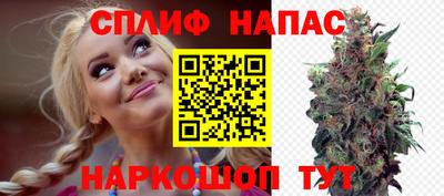 apvp Аргун