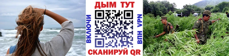 Шишки марихуана план Ахтубинск